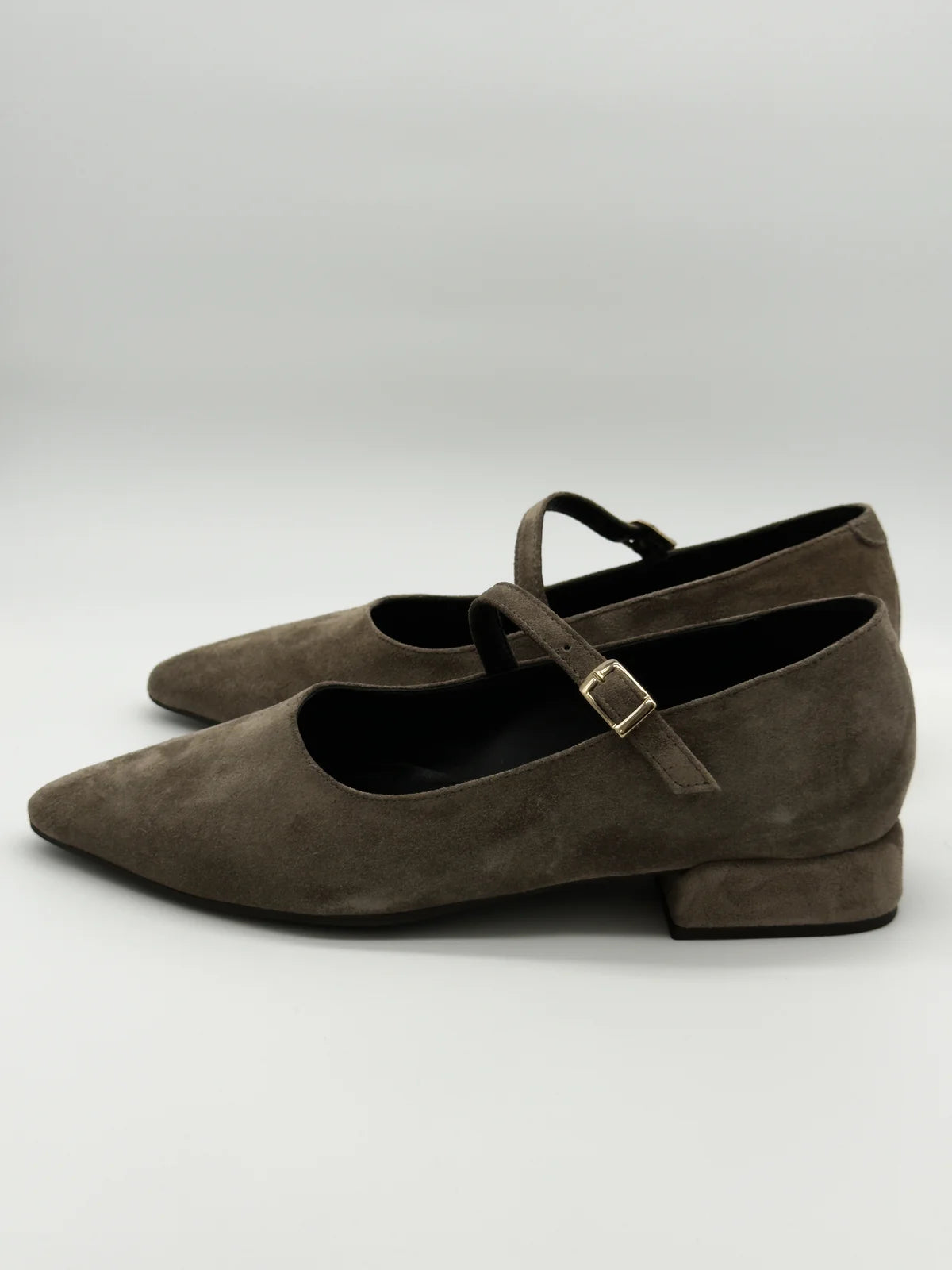 Sapatos Femininos com Fivela